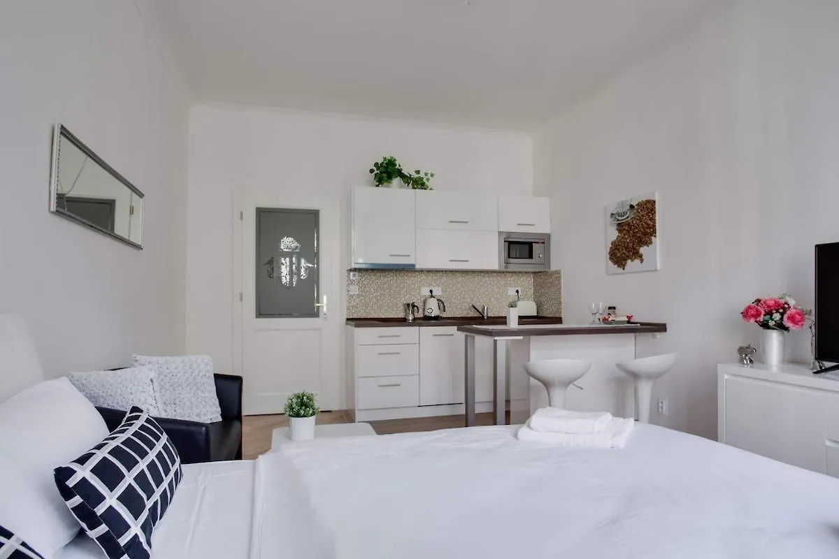 פראג Charming Studio Apartment Near The Historic Center 0*,  צ'כיה